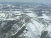 Wildlife, Snow and Mountains