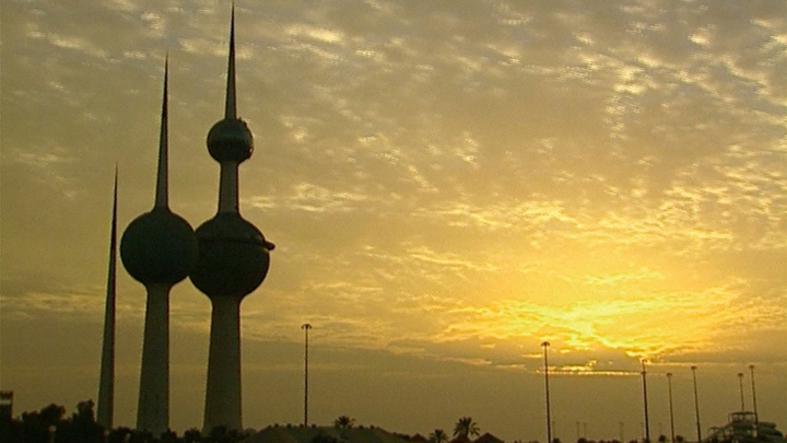 Phoenix from the Flames