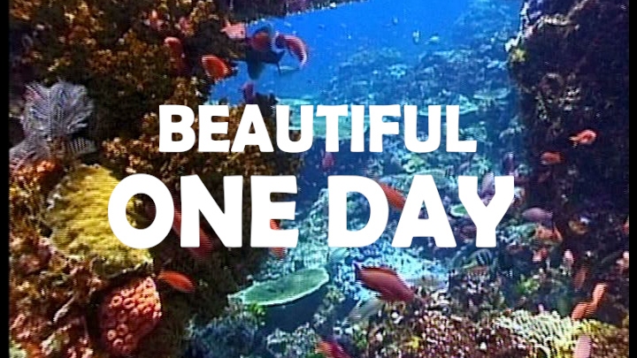 Beautiful One Day