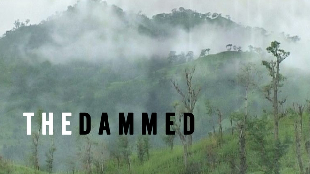 The Dammed