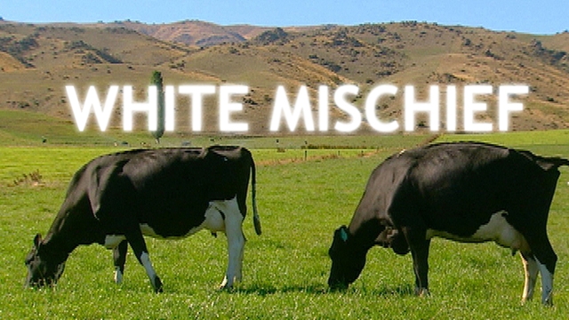 White  Mischief