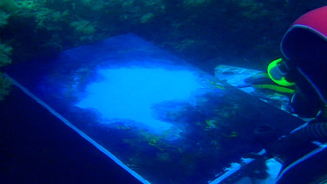 Underwater painting