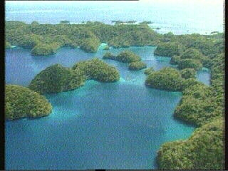 Paradise in Palau