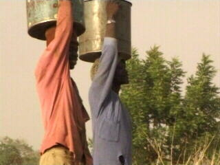 Lines in the Dust Lines in the Dust
