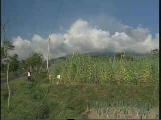 For a Few Pennies More