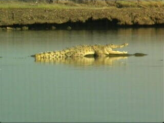 Mary River Lifestyle