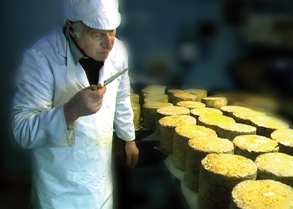 Savouring Europe: Dorset