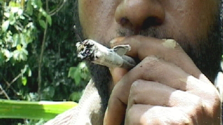 Papua New Guinea - Rambo Nation