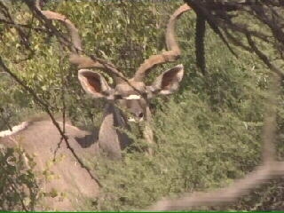 Botswana - Alexander McCall Smith