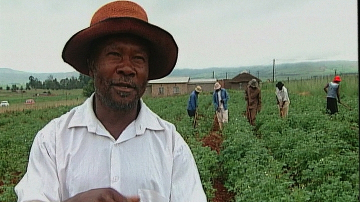 In the Shadows of the Mountain