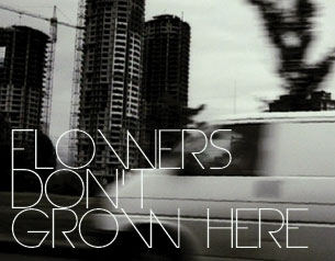 Flowers Don't Grow Here