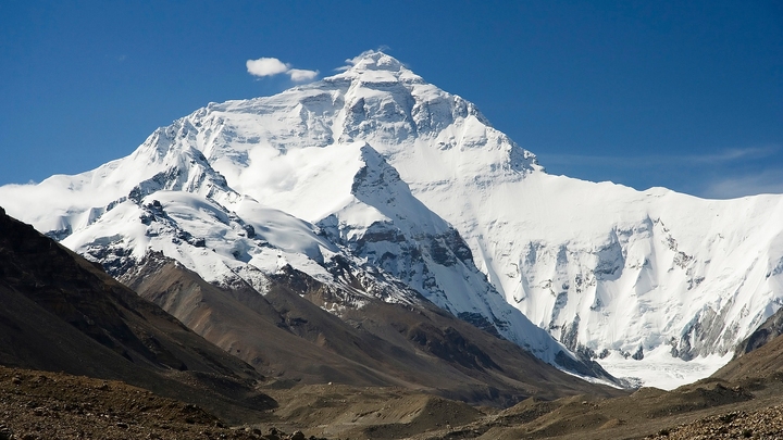 Himalayan Viagra