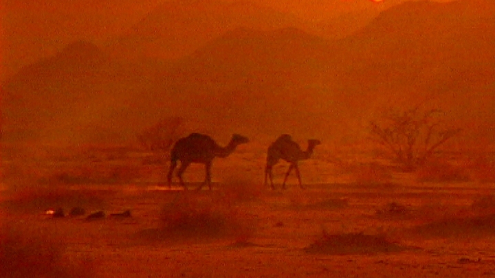 A Hundred Year Old Journey