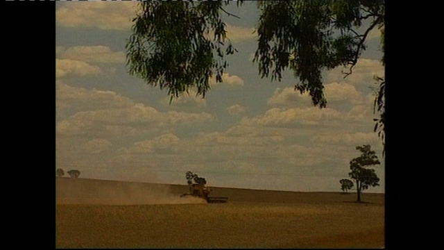 A Grain of Truth A Grain of Truth