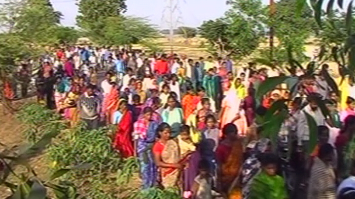 Fighting for Survival