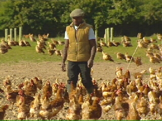 Black Farmer