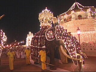 Elephant in the room