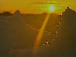 California's Green Revolution