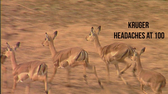 Kruger Headaches at 100