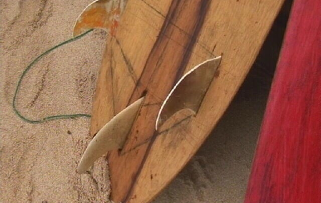 Papua New Guinea - Wild Boards