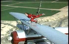 Wing Walker
