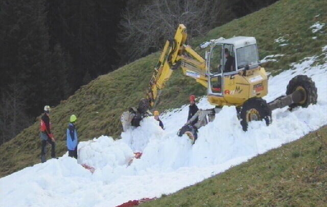 Europe - The Shrinking Alps