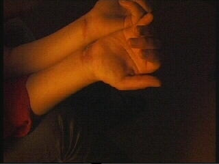 Something Rotten in the State