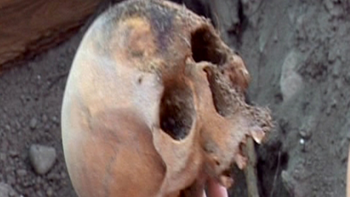 Spain and the General