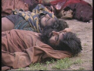 Caught in the Crossfire Caught in the Crossfire