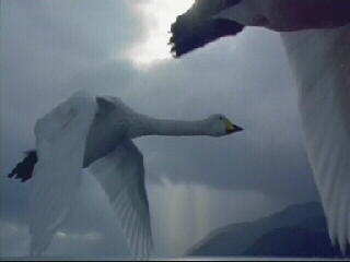 Nature Tech: The Magic Of Motion