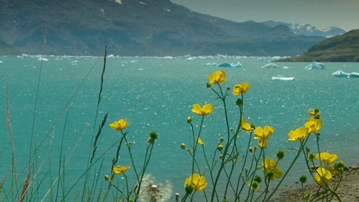 Greenland goes Green