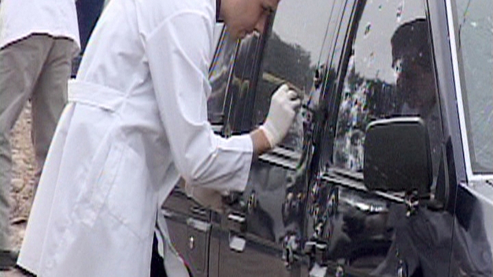 Mariachis in the Line of Fire