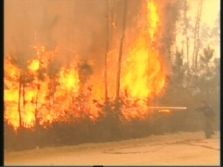 Portugal Forest Fires