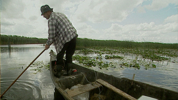 Rebirth Of The Danube Delta