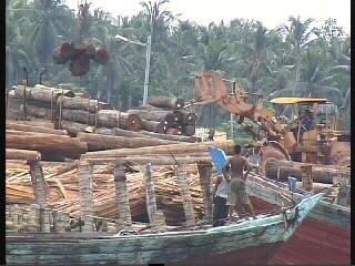 Profiting from Plunder