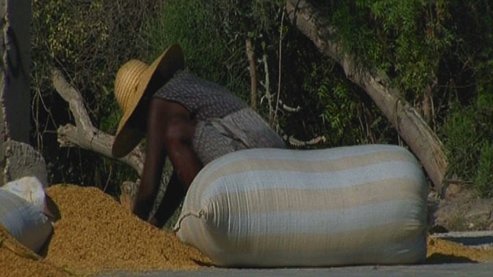 Haiti Food Crisis