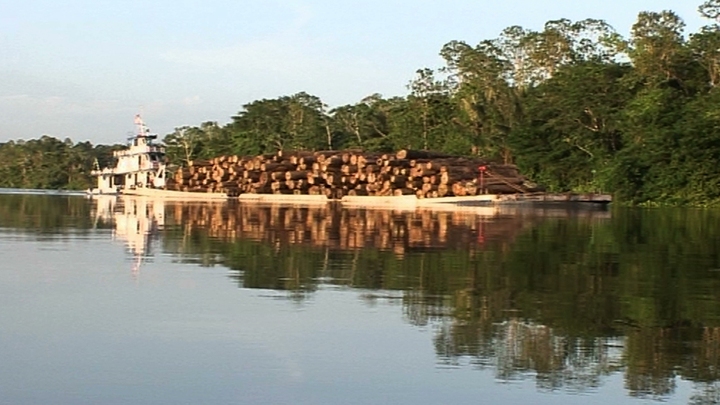 Amazon's Jungle Warfare