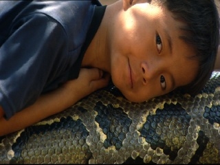 Snake Boy
