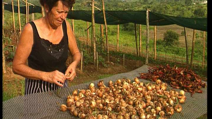 Journey into the Unknown