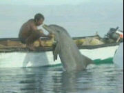 Sinai's Dolphin Boy