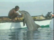 Sinai's Dolphin Boy