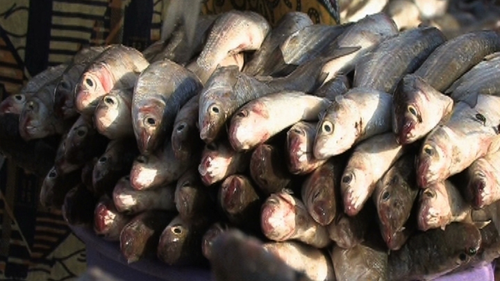 Africa's Cocaine Coast