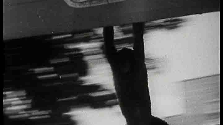 Chimps Jamboree Chimps Jamboree