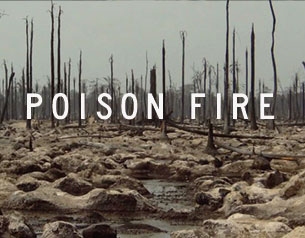 Poison Fire