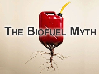 The Biofuel Myth