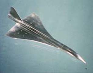 Concorde - The Great Collaboration