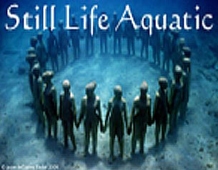 Still Life Aquatic