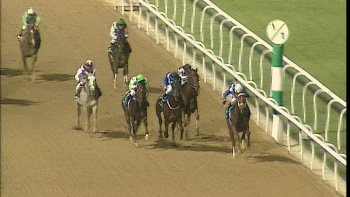 The Horse and His Boy