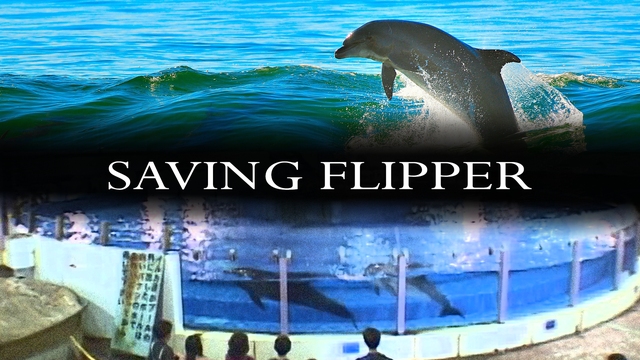 Saving Flipper