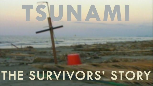 Tsunami: The Survivor's Story